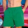 Wintergreen Dyed Crazyshorts® Twill Shorts